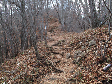 20171128hike (97)